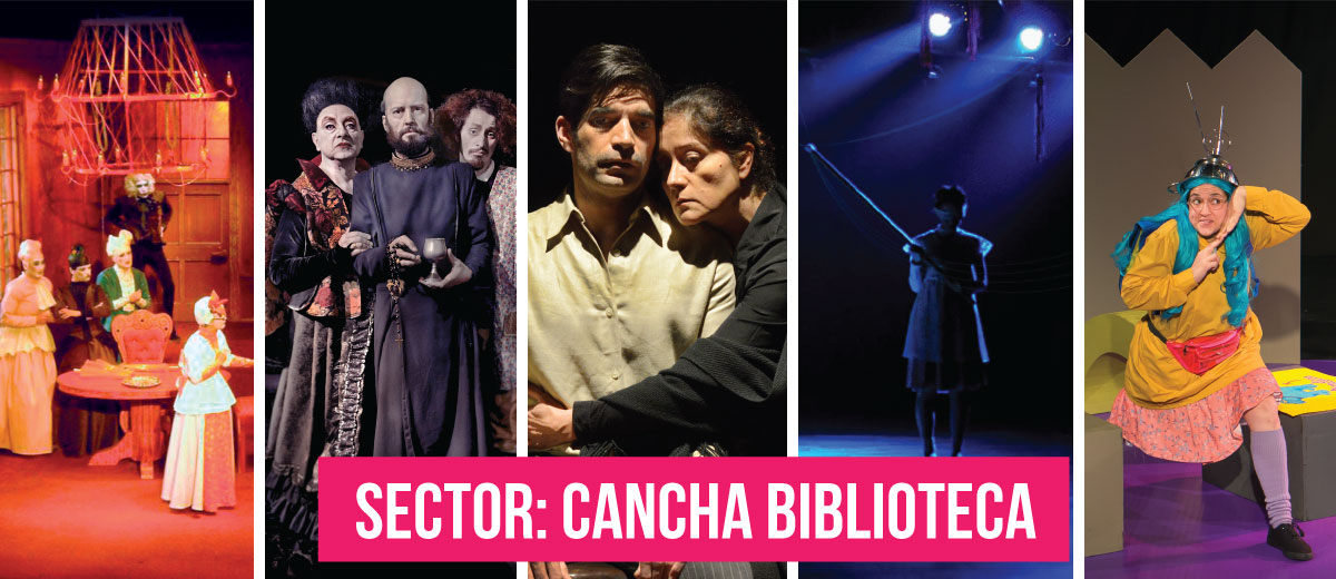 slider-cancha-BIBLIOTECA