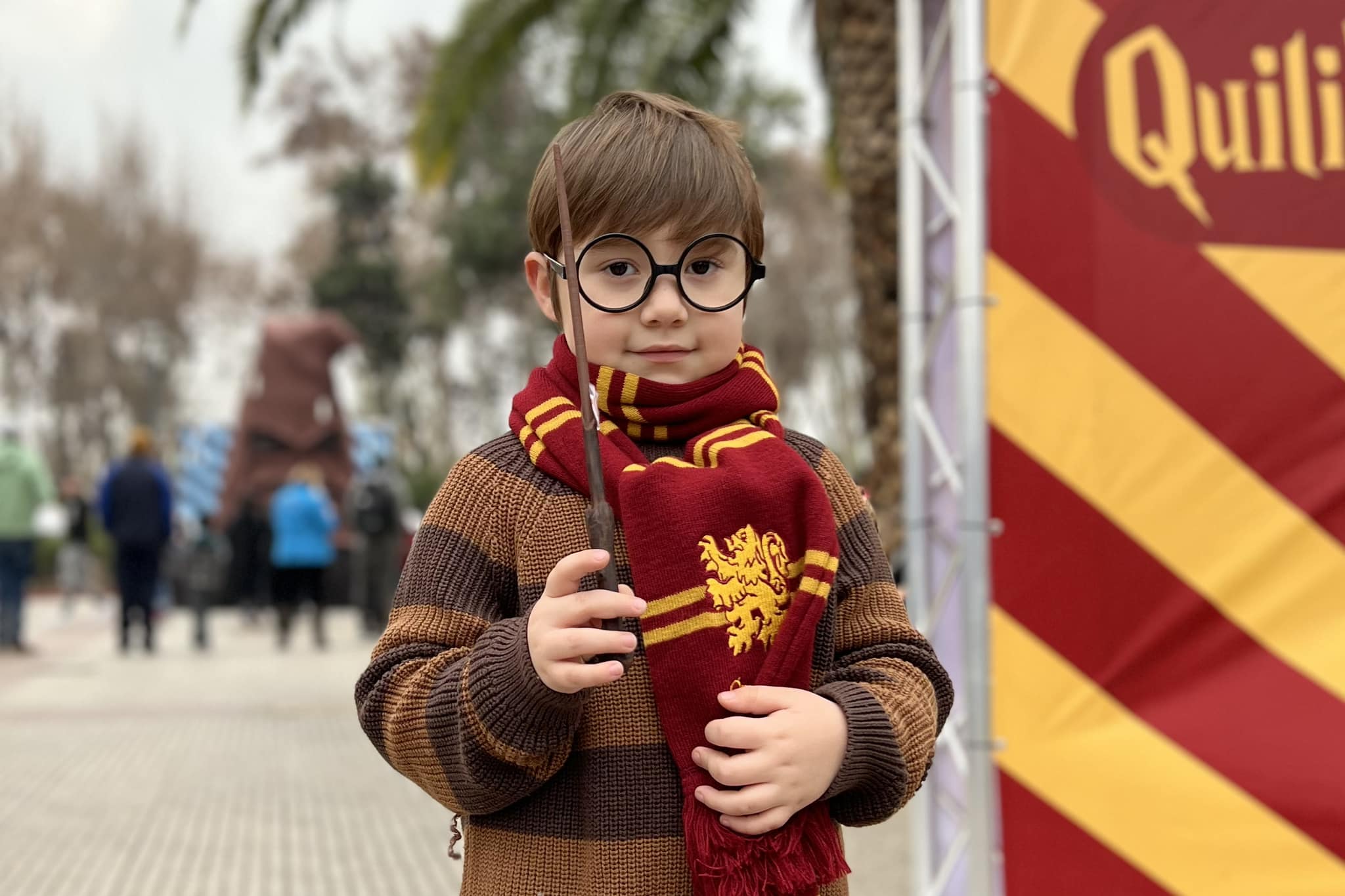 Público QuiliPotter (3)